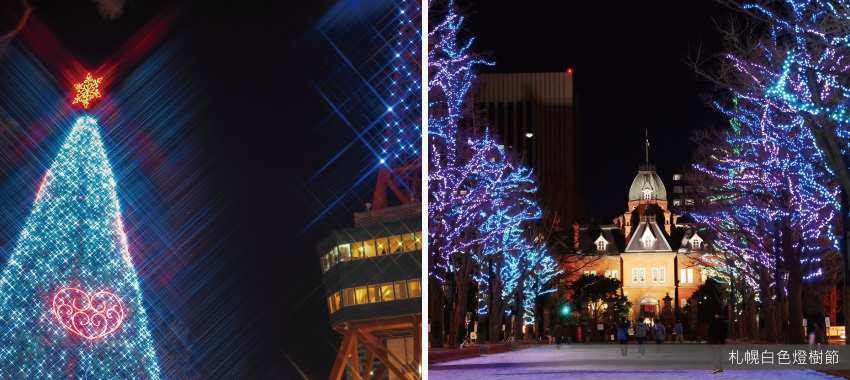 札幌白色燈樹節